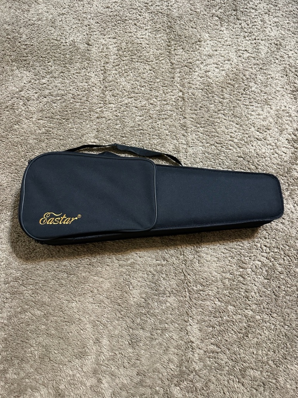 Eastar EVA Acoustic Violin case